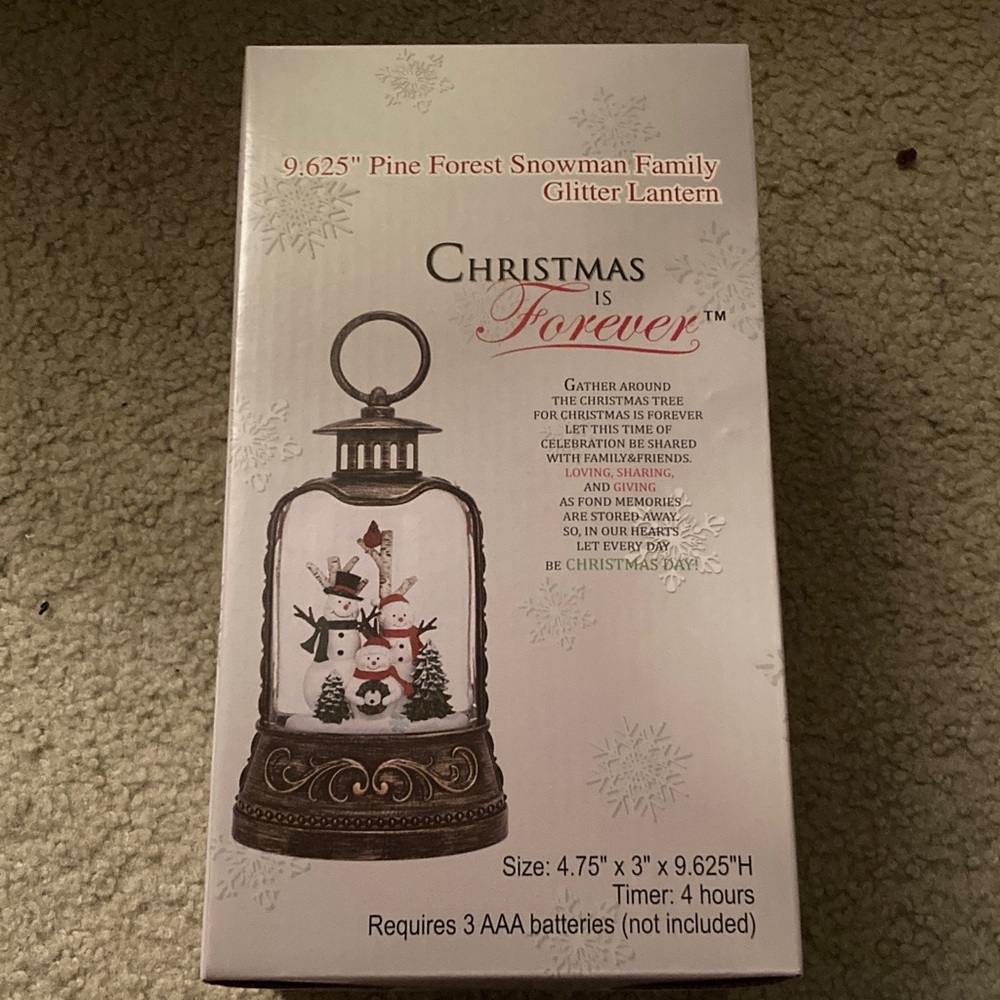 Motorized Snow Globe